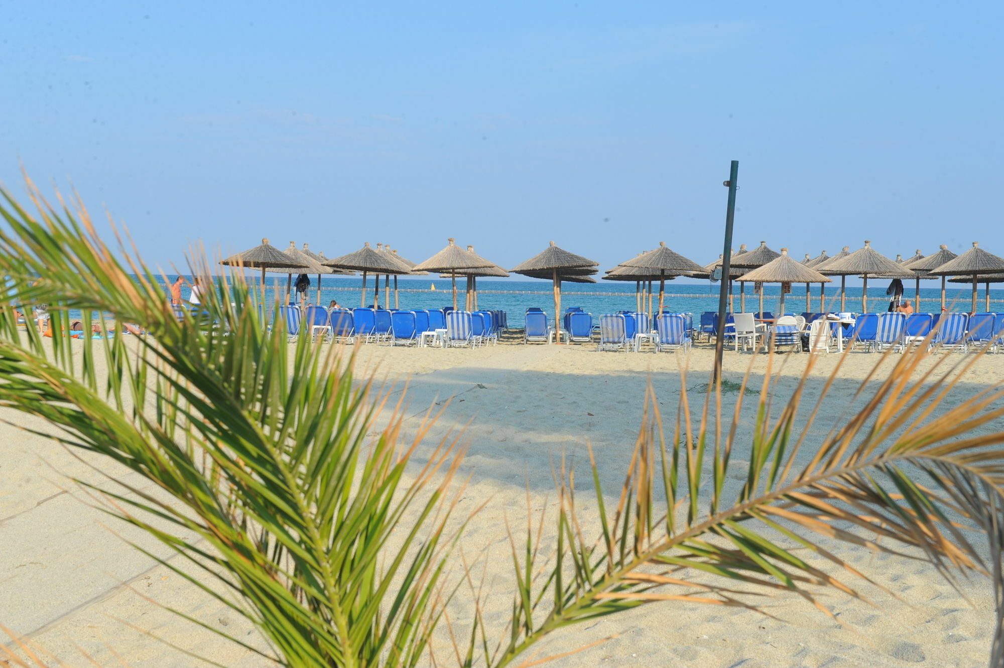 Hotel Platon Beach Olympiaki Akti Exterior photo